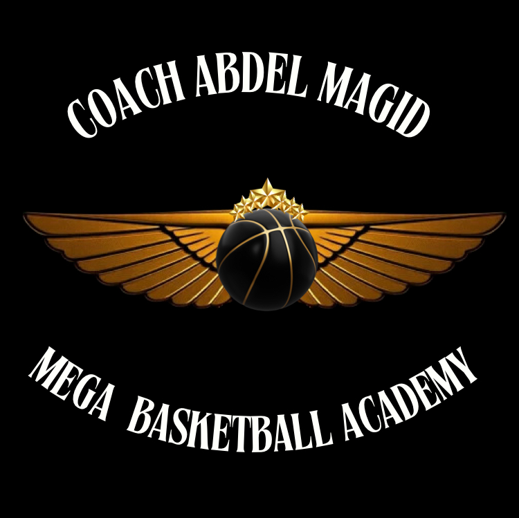 Mega Academy Logo